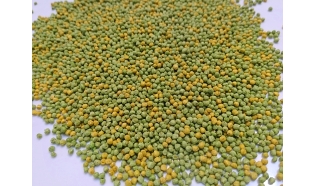 Le Gocce Yellow Green (Perle Morbide) - zastępuje kiełki - 500 g(rozważane)