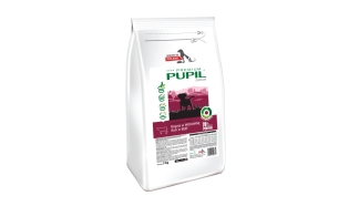 PUPIL Premium JUNIOR MEDIUM&LARGE bogata w wołowinę 3 KG (karma dla psa)
