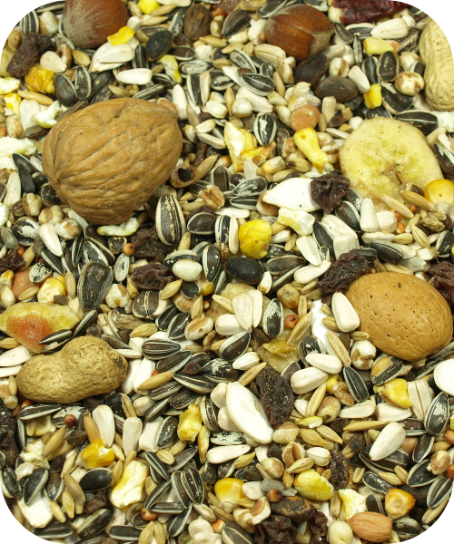 Versele-Laga - Nut Mix - pokarm z orzechami 15 kg