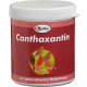 Quiko - Canthaxantin 50 g (barwnik czerwony - kantaksantyna)
