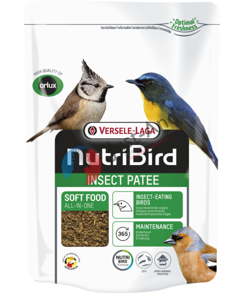 Orlux - Insect Patee 500 g (insekty 25 %)